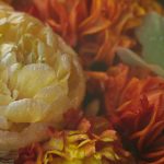 电脑破解软件库:全面收录各类破解工具与资源分享 20oy1