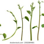 电影在线观看免费观看完整版:畅享高清影视,尽在指尖轻松观看! cahxl17puc