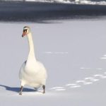 电影猎手网页版:畅享高清影视,随时随地的观影新体验 d7biej8