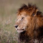 电脑卡牌游戏:探索策略与运气交织的虚拟对战世界 eh3ogf3nw