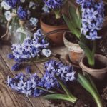 电影种子搜索:如何高效找到最新热门电影资源的方法与技巧 jch0gn0