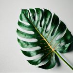 电影猎手官方最新版下载安装ios:畅享最新影视资源,轻松追剧不再难! jpyw90x