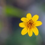 电影狗搜索引擎:让你轻松找到最爱的电影与影评 ltx244pm7