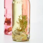 男人团VIP怎么开通:详细步骤与注意事项解析指南 lugul0