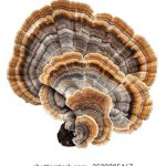 神马影院我不卡在线观看:畅享高清影视,尽在指尖轻松观看! vo4husj