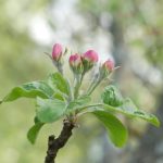 神马影院达达兔第九影院:探索最新热门影片,畅享无与伦比的观影体验 z1z5zcwv